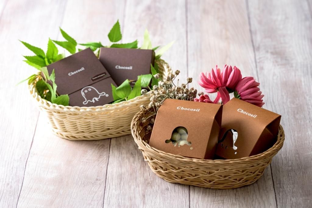 SelectionBox COLORナッツ - Chocosil（チョコシル）チョコレート