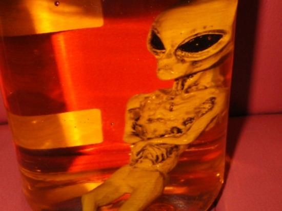 海賊倉庫,宇宙人,UFO,エイリアン,フィギュア,ホルマリン漬け 海賊倉庫,宇宙人,UFO,エイリアン,フィギュア,ホルマリン漬け