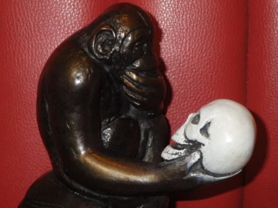 海賊倉庫,ビンテージ,古着,雑貨,猿,ダーウィン,進化論,通販