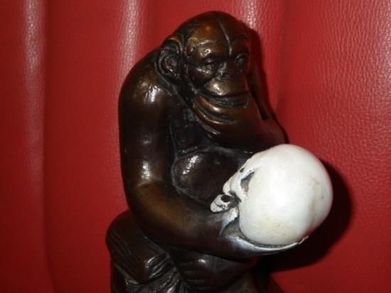 海賊倉庫,ビンテージ,古着,雑貨,猿,ダーウィン,進化論,通販