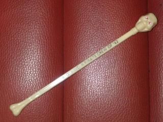 ビンテージ　スカル　髑髏　骸骨　ミッドセンチュリー　ビンテージトイ　ドクロ ビンテージ スカル 髑髏 骸骨 ミッドセンチュリー ビンテージトイ ドクロ