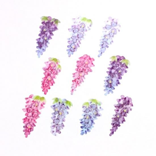 藤の花 Bande Store 藤の花 Bande Store