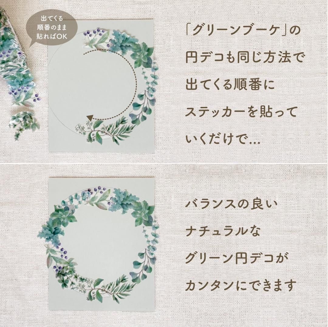 マイセン 18.5cmプレート　ワトーの花 グリーンブーケ 6枚セット マイセン 18.5cmプレート ワトーの花 グリーンブーケ 6枚セット
