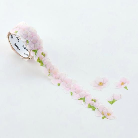 ソメイヨシノ - bande