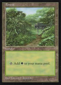 買取)森/Forest(APACランド・韓国)(Illus.Edward P.Beard) - カード