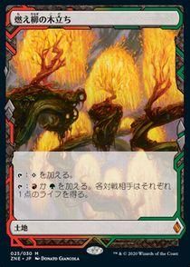 燃え柳の木立ち/Grove of the Burnwillows》[IMA] 土地R | 日本