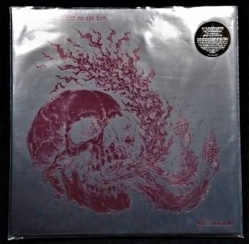 BLUE HUMMINGBIRD ON THE LEFT 