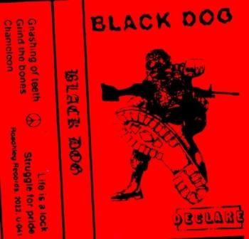 BLACK DOG 