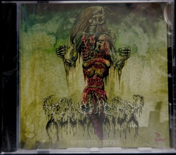 FLESHROT 