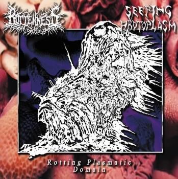 ROTTENNESS / SEEPING PROTOPLASM - SPLIT CD (ͽ / PRE-ORDER)