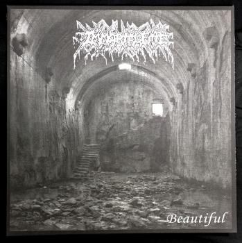 IMMORTAL FATE 