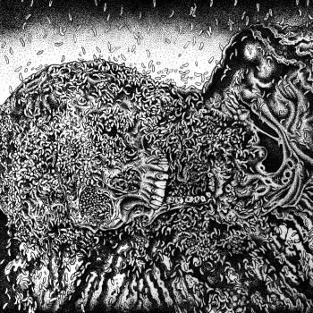 PUTREFACTION SETS-IN / FESTERDECAY - SPLIT 12MLP (Ltd.100 EACH ORANGE or RED VINYL)