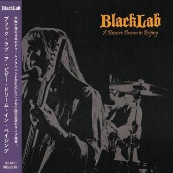 METAL - REVENGE RECORDS