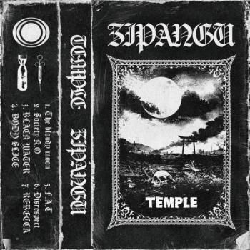 PHOBIA / DESTROYING THE MASSES【10\"レコード】 PHOBIA / DESTROYING THE MASSES【10 レコード】