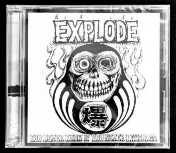 JAPANESE BAND - REVENGE RECORDS