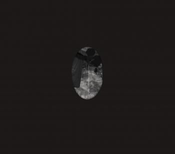 SLUG S/T