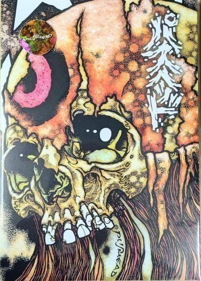 直筆サイン入り パスヘッド 画集 最新刊 2024年発売 PUSHEAD ASTRO ZOMBIES | 【パスヘッド直筆サイン入り】HYPERSTOIC