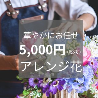 ڤѡ۲ڤ䤫ˤǤ 󥸲 5,000