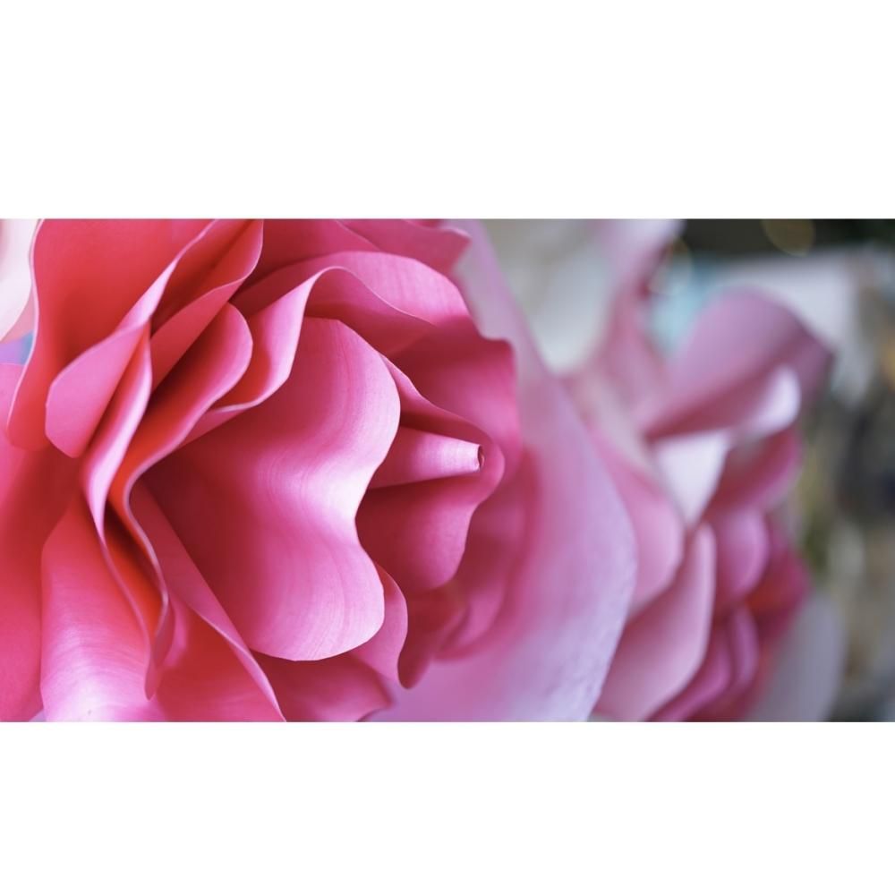スタンド花1段 ホワイトピンク - 花・花束・胡蝶蘭|ローランズ スタンド花1段 ホワイトピンク - 花・花束・胡蝶蘭|ローランズ