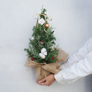 ＜ロスフラワー＞クリスマスツリー