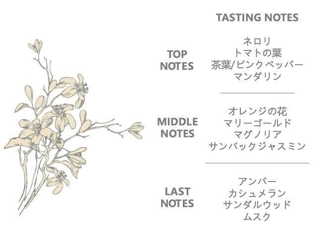 最終価格 エッセンツァプルサンテ ミニボトルセット アソート 新品未使用 最終価格 エッセンツァプルサンテ ミニボトルセット アソート
