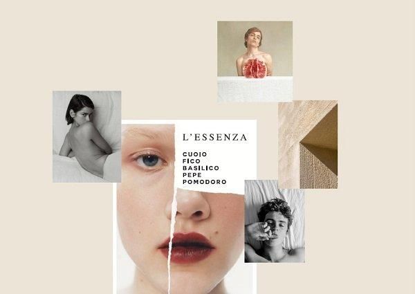 旧ユーファーストのヴェルヴェットウッズからエッセンツァプルサンテの