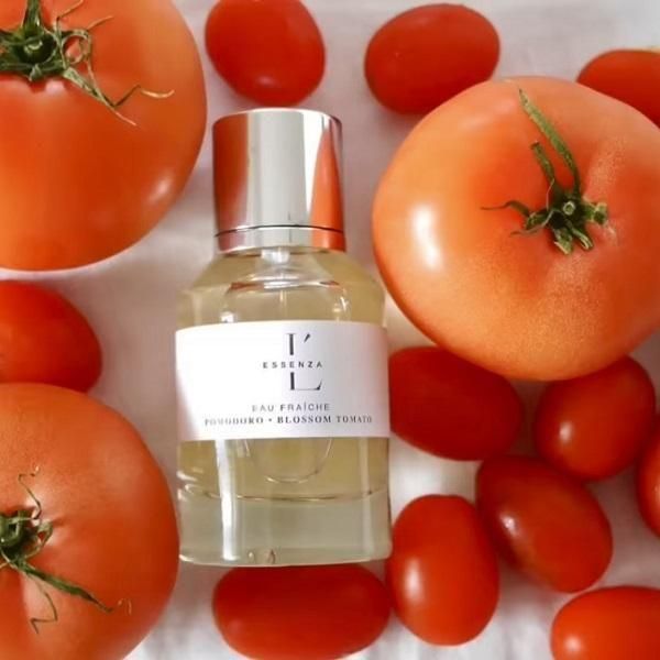 åĥ ץ륵 ( 桼ե )  ݥɡ POMODORO  ȥᥤȥ֥󥷥 եå ȥᥤ ESSENZA PULSANTE50ml
