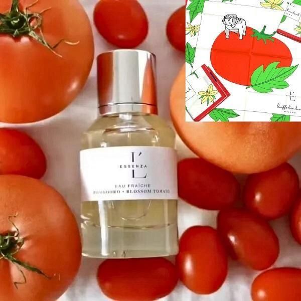 ϥ󥫥 ڵ桼եȡ åĥ ץ륵  ݥɡ 50ml POMODORO եå YOUFIRST ȥᥤȥ֥󥷥 ESSENZA PULSANTE