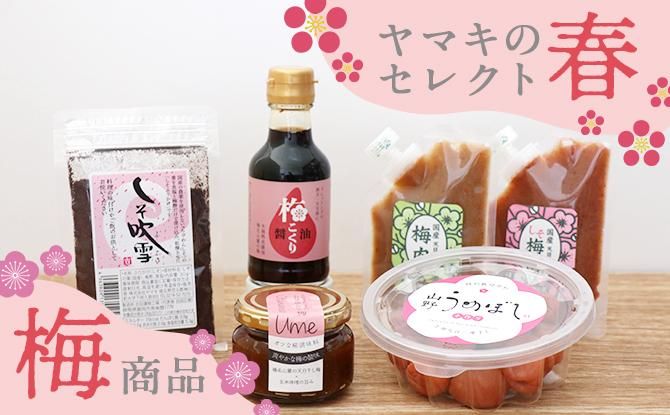 春のおすすめ梅特集