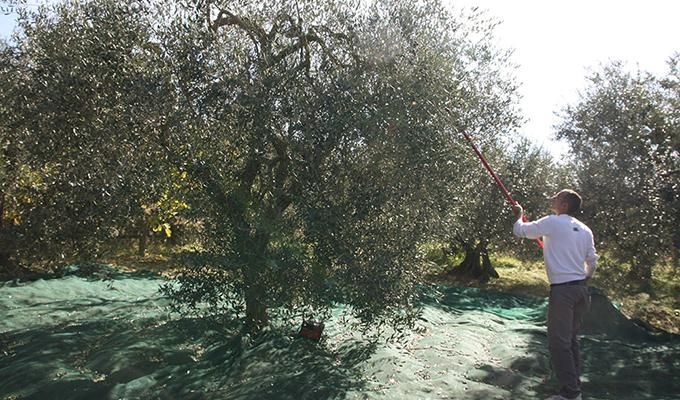 顦ͥåͭ꡼ּϡ class=