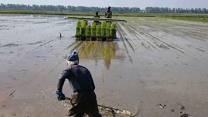 秋田県大潟村のサン・ライス有機の会
