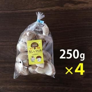10/17в١ 250g4