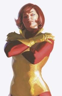 IRON MAN #8 ALEX ROSS TIMELESS VIRGIN VAR