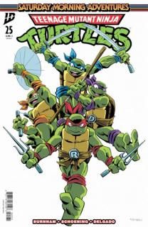 TMNT SATURDAY MORNING ADV #25 CVR C NIELI