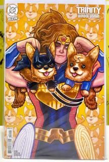 TRINITY DAUGHTER OF WONDER WOMAN #1 (OF 6) CVR G INC 1:25 DAN HIPP CARD STOCK VAR