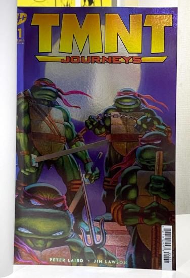 TEENAGE MUTANT NINJA TURTLES JOURNEYS #1 1:10 INCV FOIL VAR