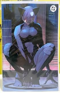 ABSOLUTE BATMAN #13 CVR I INC 1:50 NICK DRAGOTTA VIRGIN CARD STOCK VAR