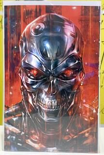 TERMINATOR METAL #1 CVR I INC 1:10 IVAN TAO VIRGIN VAR