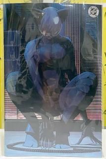 ABSOLUTE BATMAN #13 Second Printing Cvr B Nick Dragotta Foil Var