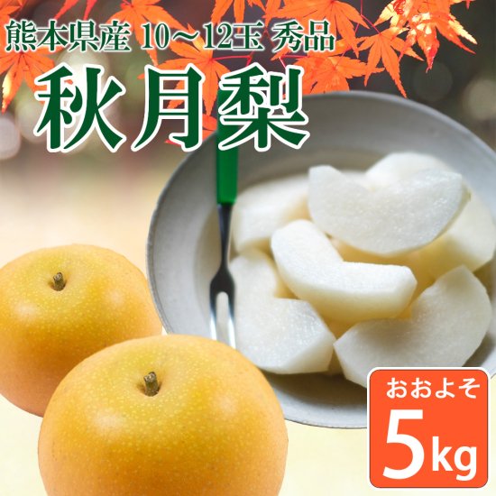 熊本県産 秋月梨 約5kg 10〜12玉 秀品