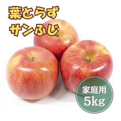 葉とらずサンふじ 5kg家庭用 - 外崎りんご園