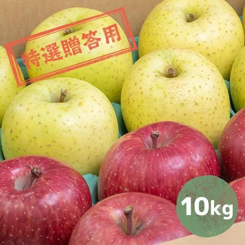 サンふじ、王林詰め合わせ 10kg特選贈答用 - 外崎りんご園