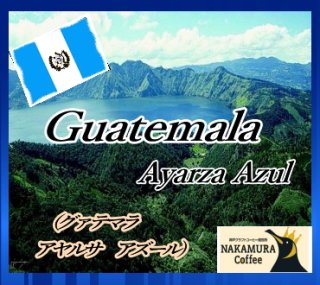グアテマラアヤルサアズール　200ｇ　送料無料！
