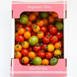 おぢかミニトマト　１kg【りんたろうふぁ～む】★冷蔵発送★ - 小さな島のおすそわけ。しまうまショップです