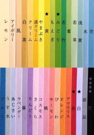 チケット用紙5枚作成用 色上質紙 90k厚口 55mm 180mmもぎり用罫線付 500枚マイクロミシン ミシン目工房 チケット用紙5枚作成用 色上質紙 90k厚口 55mm 180mmもぎり用罫線付 500枚マイクロミシン ミシン目工房