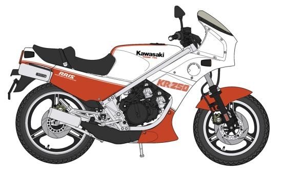 カワサキ ＫＲ250カウルセット｜バイク