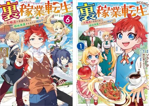 裏稼業転生〜元極道が家族の為に領地発展させますが何か?〜　ライトノベル　1-6巻セット （TOブックス）（単行本（ソフトカバー）） 全巻セット Amazon.co.jp: 裏稼業転生～元極道が家族の為に領地発展させます