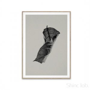 PAPER COLLECTIVE（ペーパーコレクティブ）アート ポスター 50×70cm Sabi Leaf 04