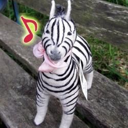 ҤΥ֥ coquin coquine bear  Ρ le Zebra ޥ   A-1690 