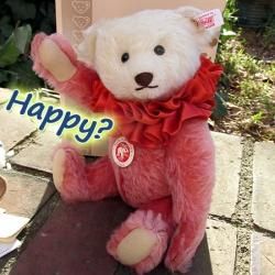 2006ǯ奿ռҤΥ֤1913ǯΥ饦󡦥ɥ꡼¤˺Ƹޤ֥ƥǥ٥ɥ꡼ / Teddy Bear Dollyס S-1771 